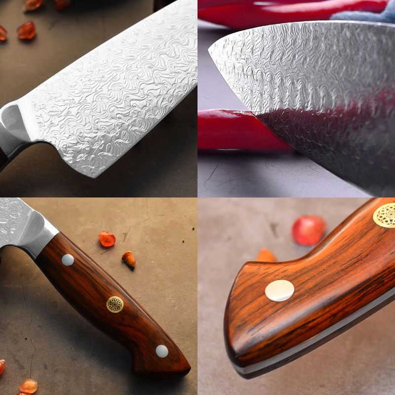 Professional Chef Knife Huascaran