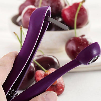 Cherry Pitter Corer Jerte